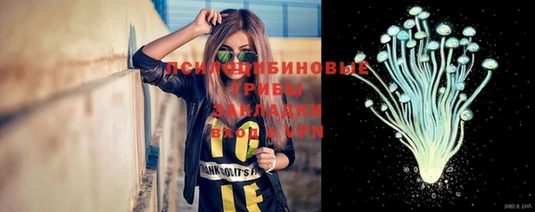 стафф Абдулино