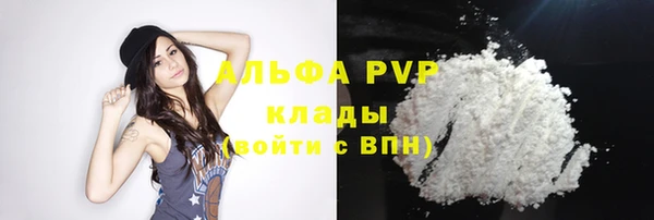 ГАЛЛЮЦИНОГЕННЫЕ ГРИБЫ Абаза