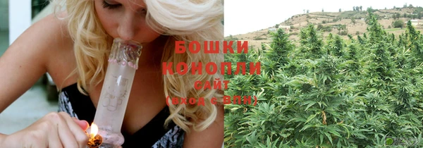 ГАЛЛЮЦИНОГЕННЫЕ ГРИБЫ Абаза