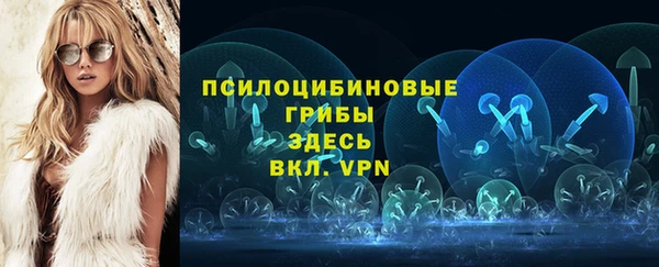 ГАЛЛЮЦИНОГЕННЫЕ ГРИБЫ Абаза