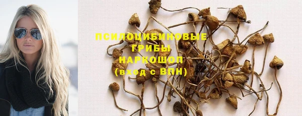 стафф Абдулино