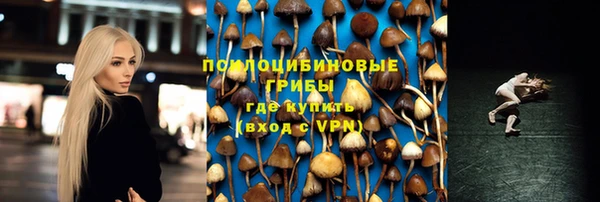 стафф Абдулино