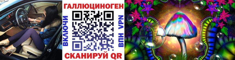 Галлюциногенные грибы Psilocybe  закладка  Ужур 